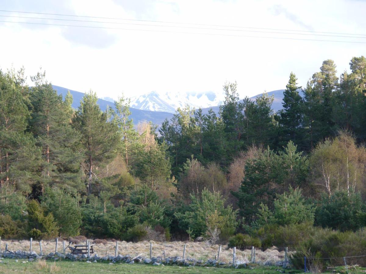 Tanleys B&B Grantown-on-Spey Екстериор снимка