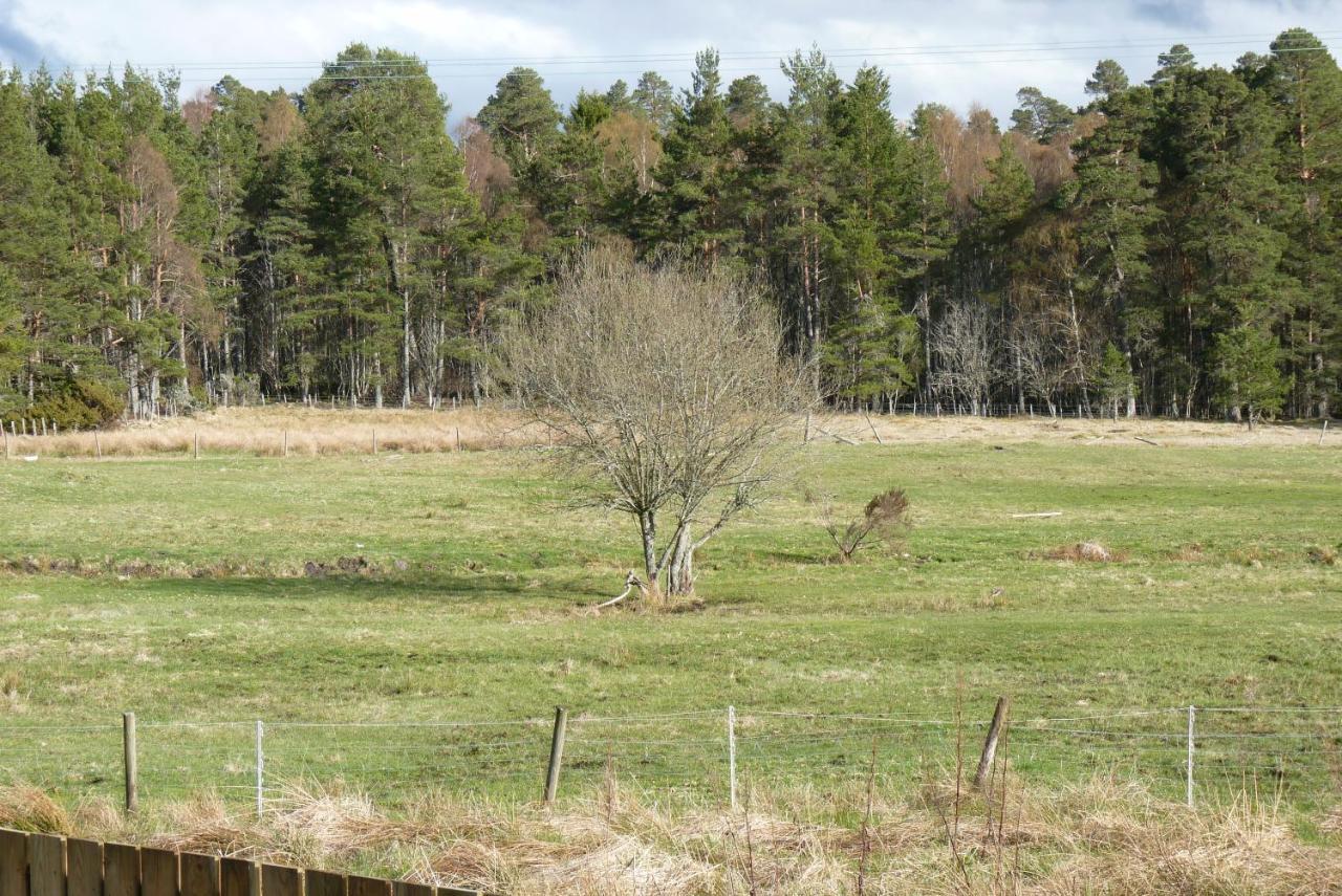 Tanleys B&B Grantown-on-Spey Екстериор снимка